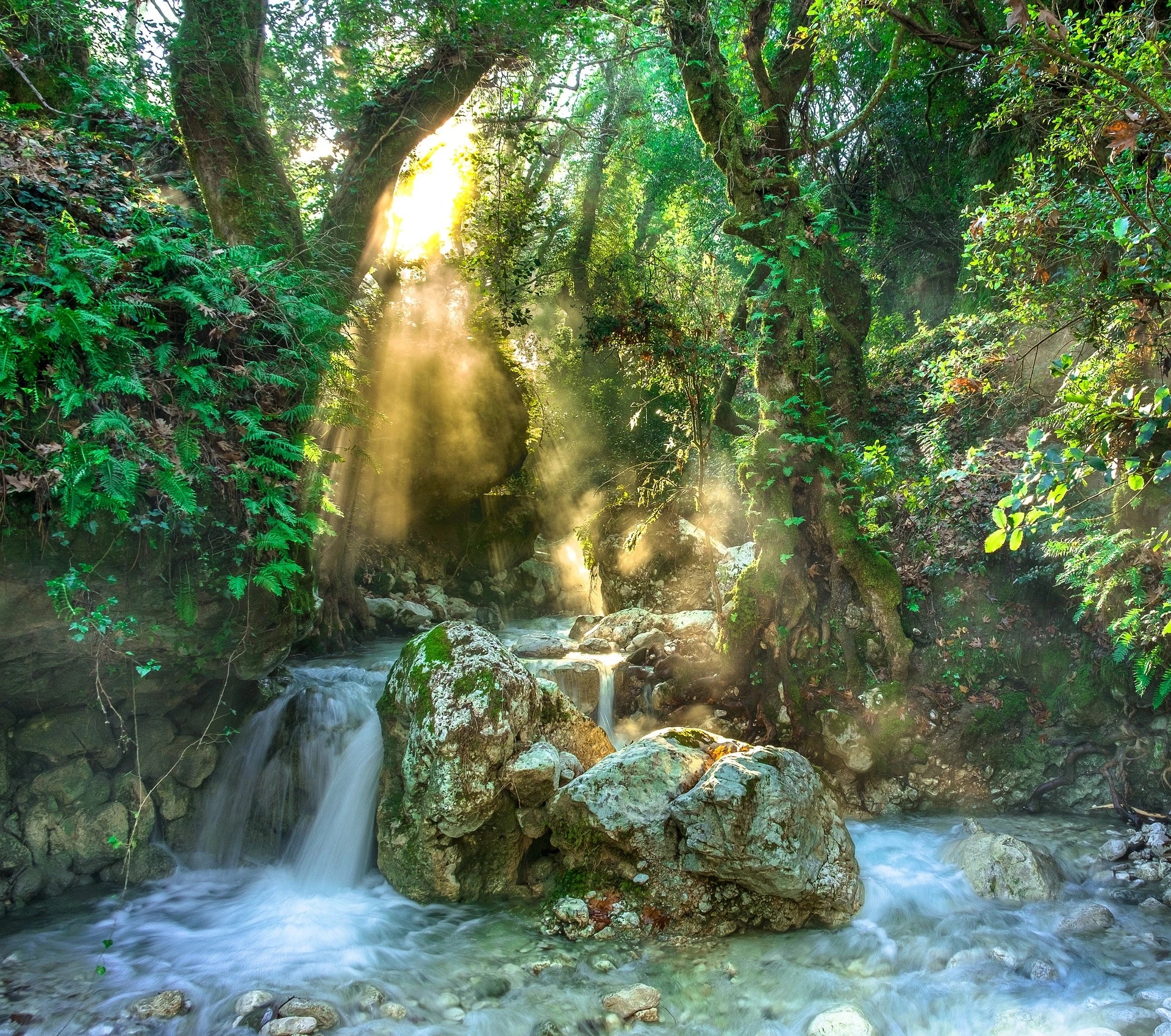 Cascade en forêt